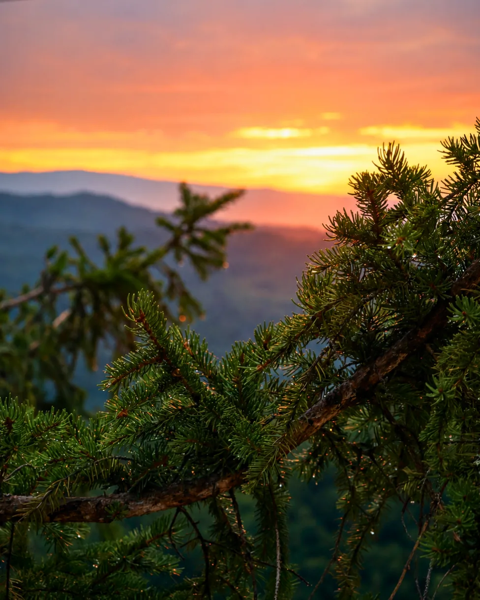 Zalazak sunca nad brdima Radikine Bare